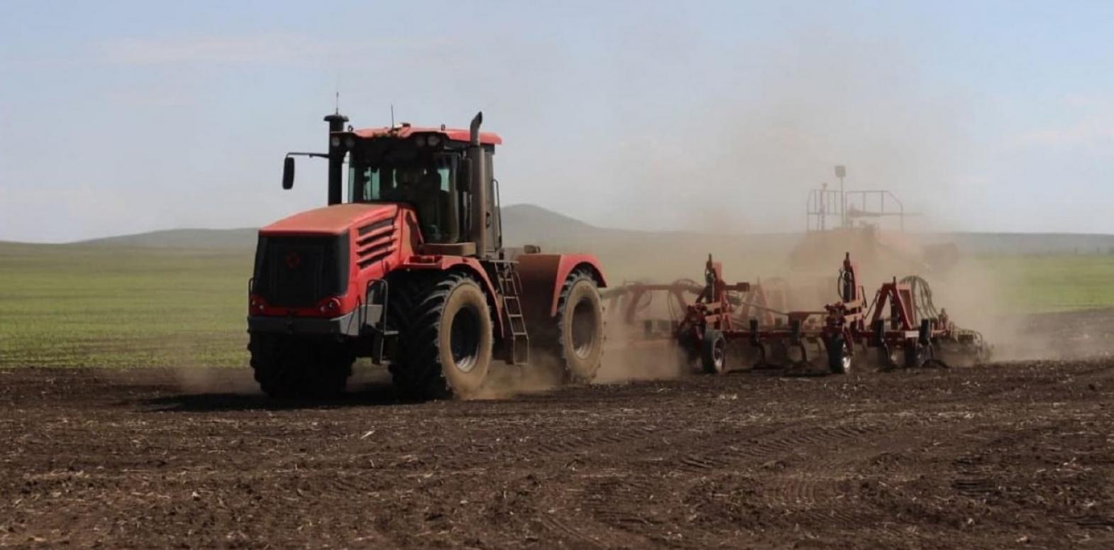 Зерновые в Украине посеяли на 75% площадей прошлого года