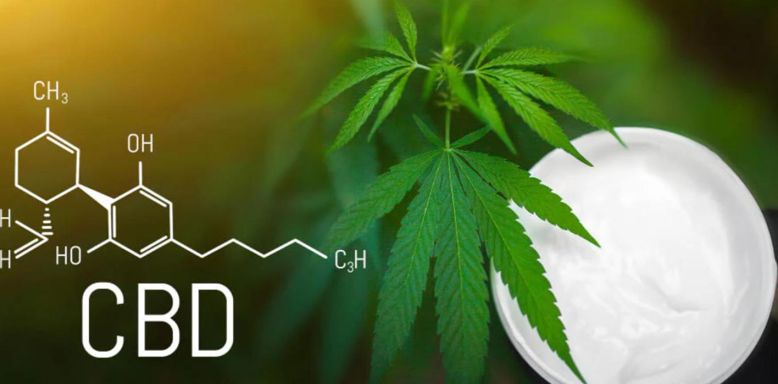 CBD продукти: різновиди, особливості та сучасні тенденції використання