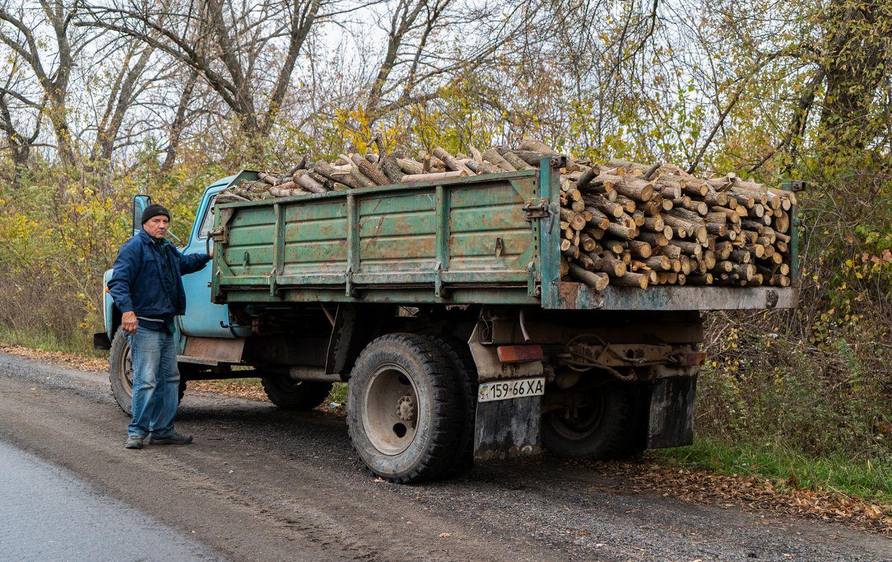 Цены на дрова в Украине: официальная покупка и стоимость
